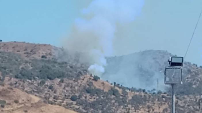 Milas'ta arazide çıkan yangın söndürüldü