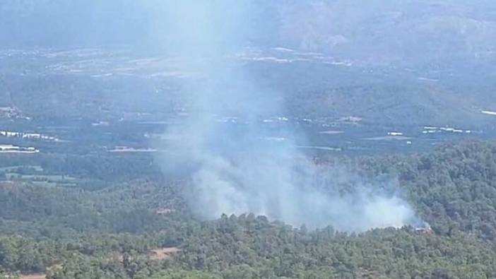 Muğla'da orman yangını