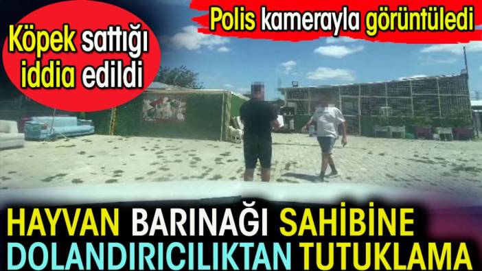 Hayvan barınağı sahibine dolandırıcılıktan tutuklama. Köpek sattığı iddia edildi