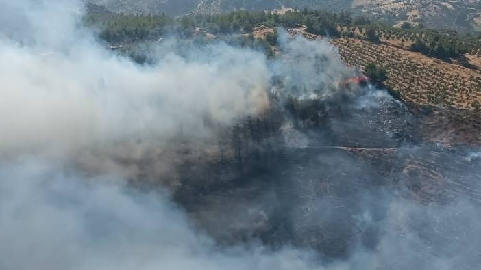 Hatay'daki yangın 15 saat sonra söndürüldü