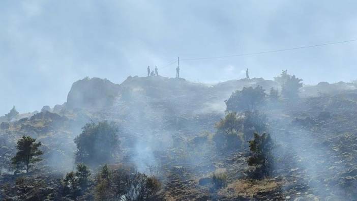 Malatya'da 3 ayrı noktada yangını