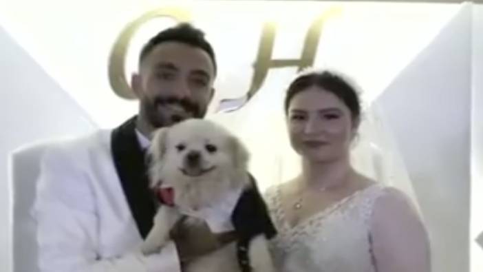 Damat ve gelinin köpeği Bulut düğünde ilgi odağı oldu