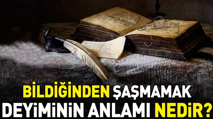 Bildiğinden şaşmamak deyimi ne anlama geliyor?