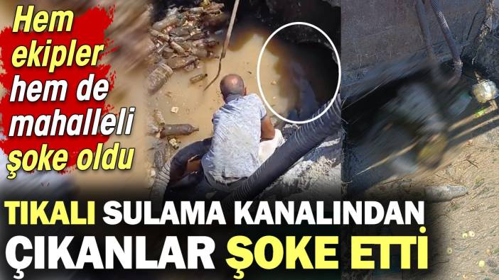 Tıkalı sulama kanalından çıkanlar ekipleri ve mahalleliyi şoke etti