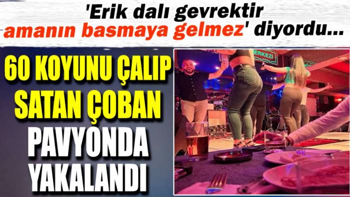 60 koyunu çalıp satan çoban pavyonda yakalandı. 'Erik dalı gevrektir amanın basmaya gelmez' diyordu...