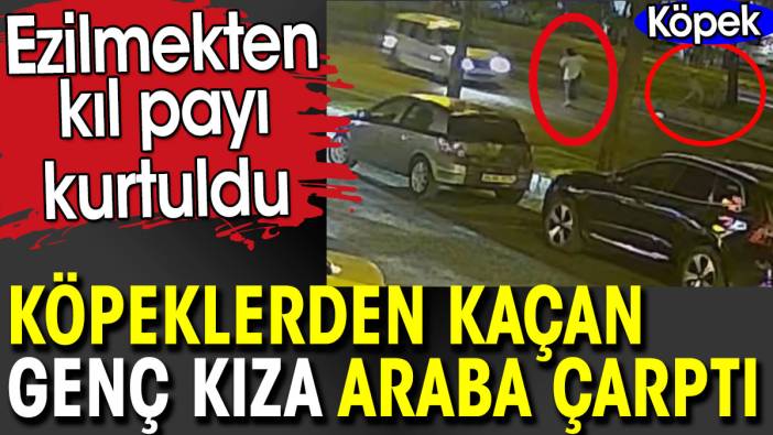 Köpeklerden kaçan genç kıza araba çarptı. Ezilmekten kıl payı kurtuldu