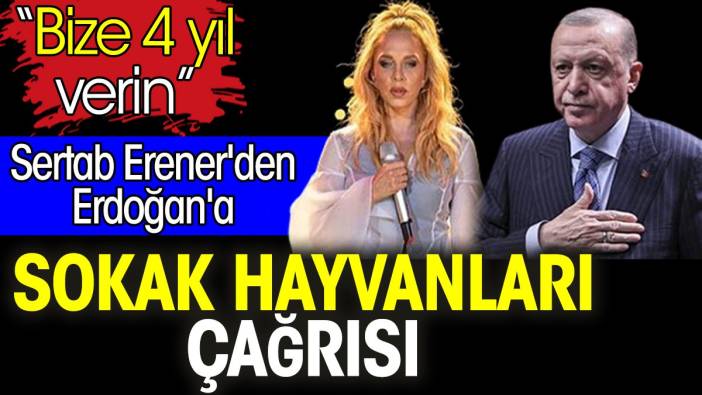 Sertab Erener'den Erdoğan'a sokak hayvanları çağrısı. 'Bize 4 yıl verin'