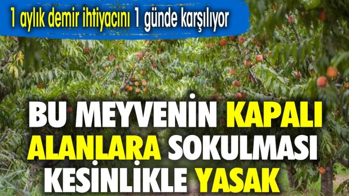 Bu meyvenin kapalı alanlara sokulması kesinlikle yasak. 1 aylık demir ihtiyacını 1 günde karşılıyor