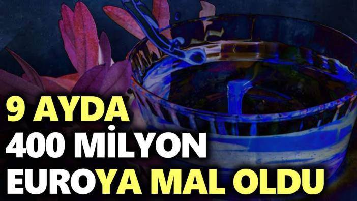 9 ayda 400 milyon euroya mal oldu