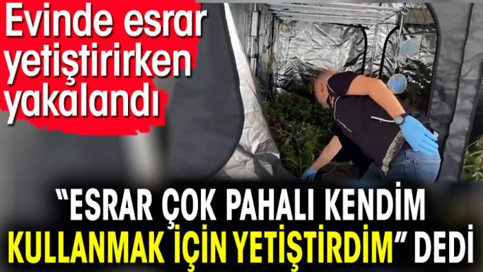 Evinde esrar yetiştirirken yakalandı  'Esrar çok pahalı kendim kullanmak için yetiştirdim' dedi