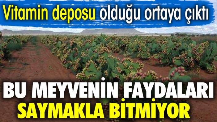 Dışı dikenli içi şifalı. Bu meyvenin faydaları saymakla bitmiyor