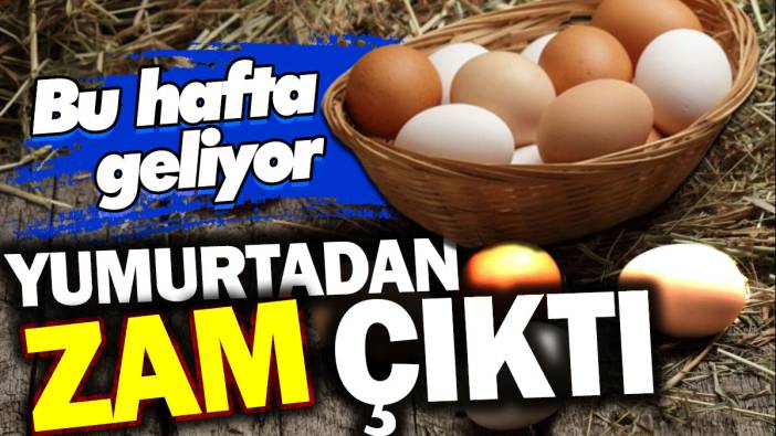 Yumurtadan zam çıktı. Bu hafta geliyor