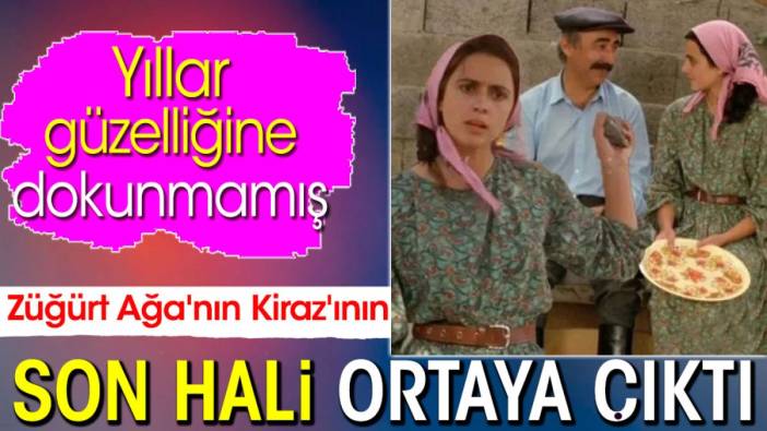 Züğürt Ağa'nın Kiraz'ının son hali ortaya çıktı