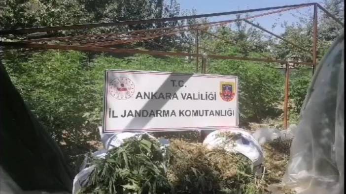 Ankara'da 40 kilo esrar ele geçirildi