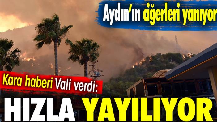 Aydın'ın ciğerleri yanıyor! Kara haberi Vali verdi: Hızla yayılıyor