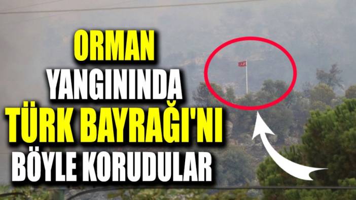 Orman yangınında Türk Bayrağı'nı böyle korudular