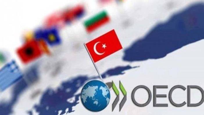 OECD genel enflasyonu %5,6'ya geriledi