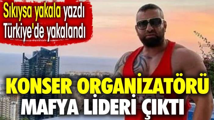 Konser organizatörü mafya lideri çıktı. Sıkıysa yakala yazdı Türkiye'de yakalandı