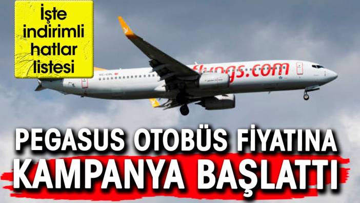 Pegasus'tan otobüs fiyatına bilet kampanyası. İşte indirimli hatlar