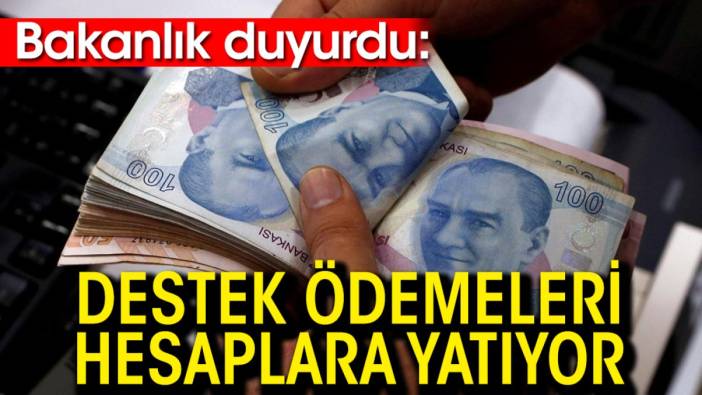 Bakanlık duyurdu: Destek ödemeleri hesaplara yatıyor