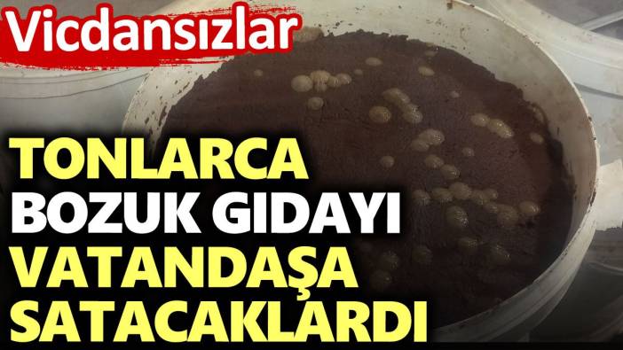 Tonlarca bozuk gıdayı vatandaşa satacaklardı. Vicdansızlar