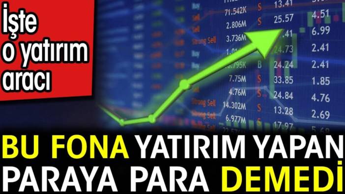 Bu fona yatırım yapan paraya para demedi. İşte o yatırım aracı