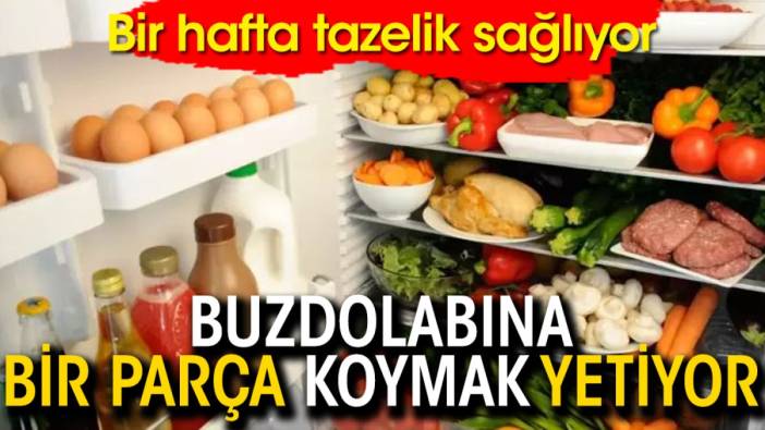 Buzdolabına bir parça koymak yetiyor: Bir hafta tazelik sağlıyor