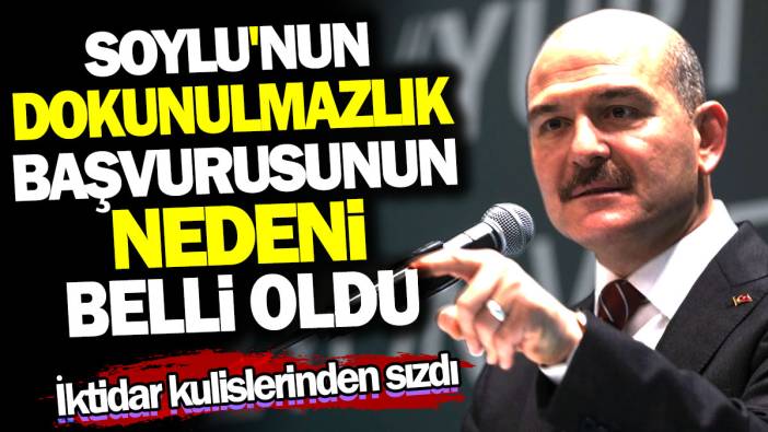 Süleyman Soylu'nun dokunulmazlık başvurusunun nedeni belli oldu. İktidar kulislerinden sızdı