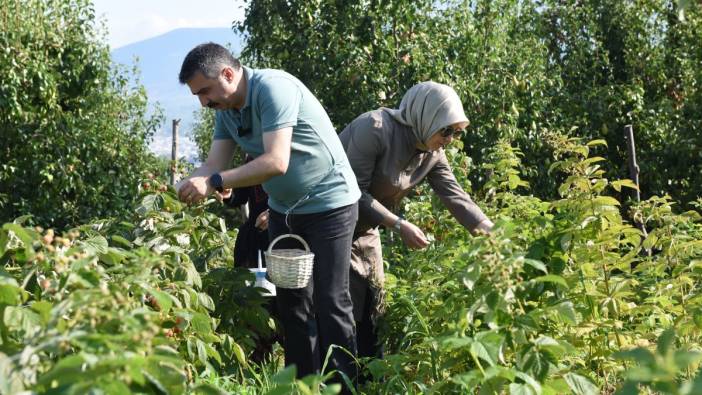 Tarladan sofraya kadın eli