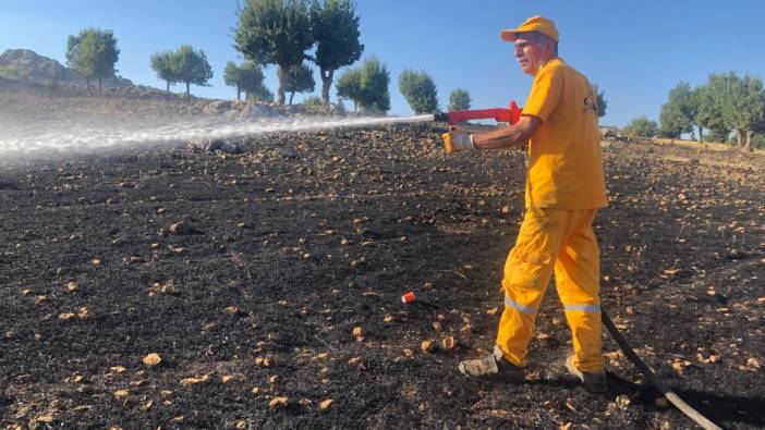 Adıyaman'da 40 hektar alan küle döndü