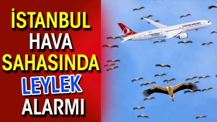 İstanbul hava sahasında leylek alarmı