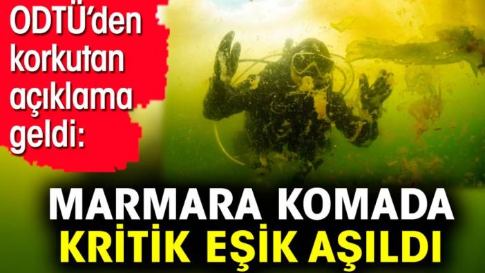 Marmara komada kritik eşik aşıldı. ODTÜ’den korkutan açıklama geldi