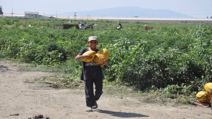 Manisalı çiftçiler yaklaşık 600 ton kavun ve karpuzu ücretsiz dağıttı