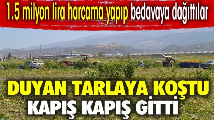 1.5 milyon lira harcama yapıp bedavaya dağıttılar. Duyan tarlaya koştu kapış kapış gitti