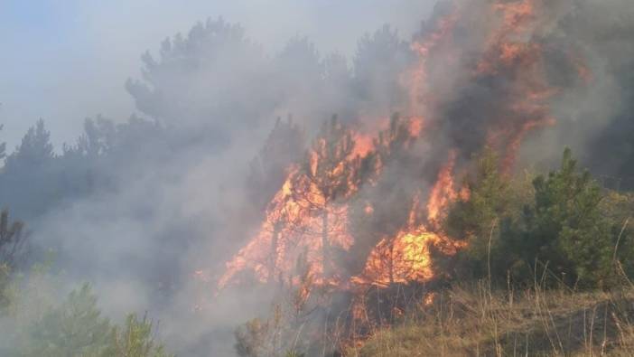 Kütahya'da iki ayrı noktada yangın