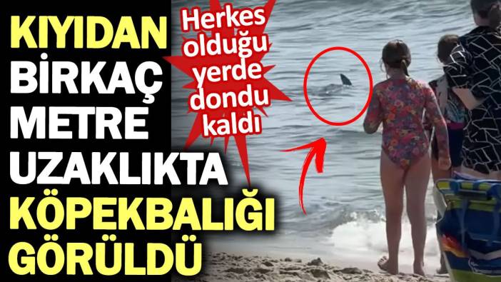 Kıyıdan birkaç metre uzaklıkta köpekbalığı görüldü. Herkes olduğu yerde dondu kaldı