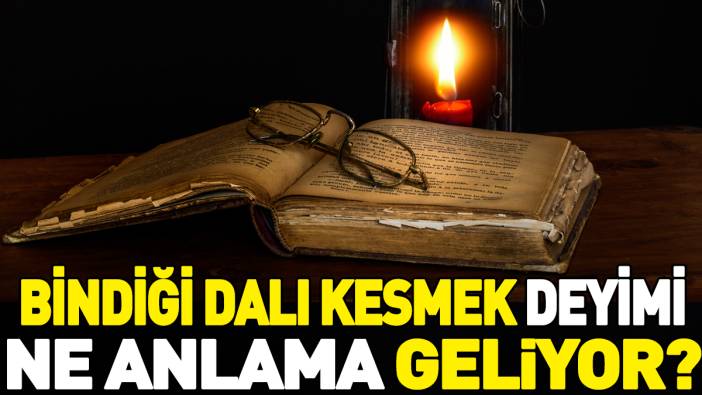 Bindiği dalı kesmek deyimi ne anlama geliyor?