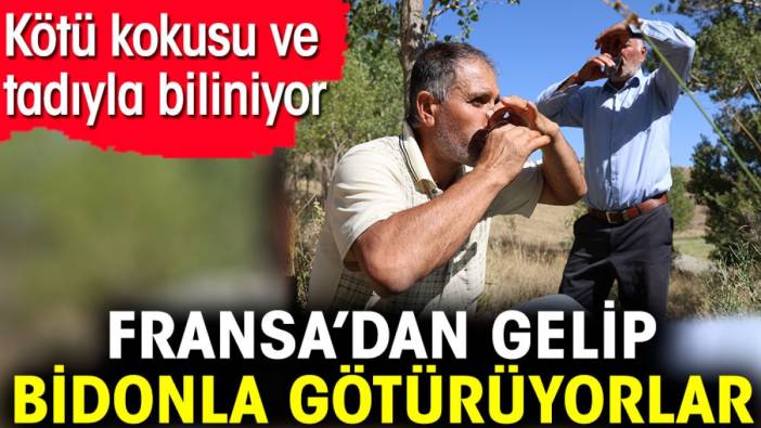 Fransa’dan gelip bidonla götürüyorlar. Kötü kokusu ve tadıyla biliniyor