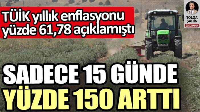 Sadece 15 günde yüzde 150 arttı