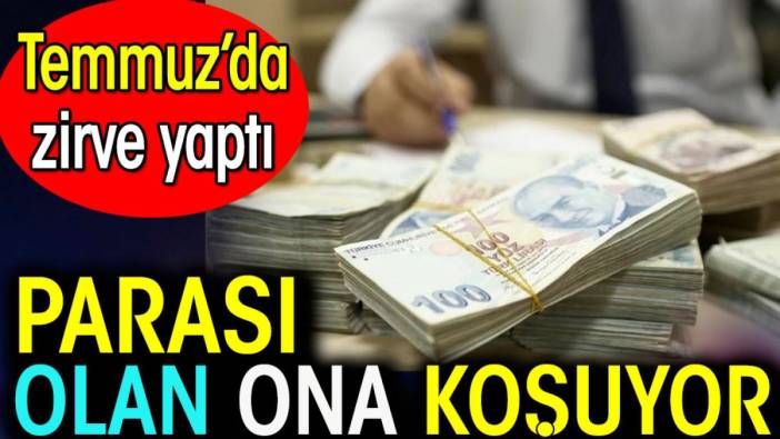 Parası olan ona koşuyor. Temmuz'da zirve yaptı