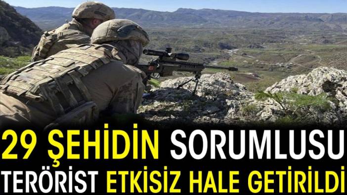 Son dakika... 29 şehidin sorumlusu terörist etkisiz hale getirildi