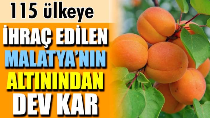 115 ülkeye ihraç edilen Malatya’nın altınından dev kar