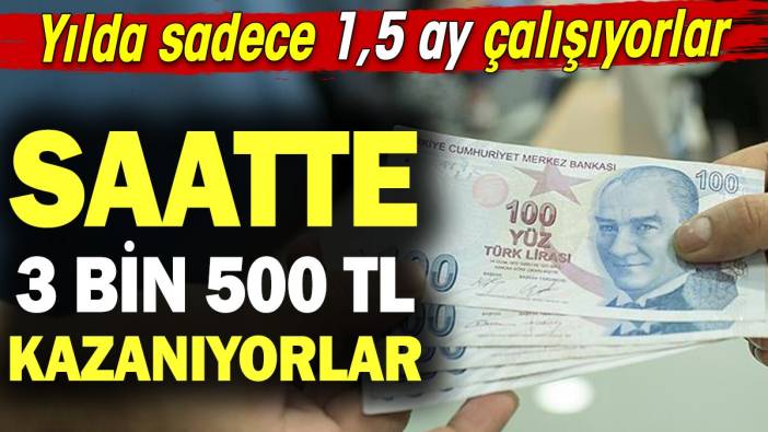 Yılda sadece 1,5 ay çalışıyorlar, saatte 3 bin 500 TL kazanıyorlar