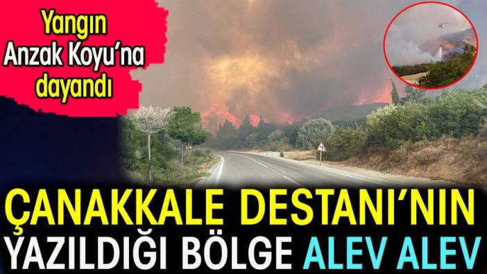 Çanakkale Destanı'nın yazıldığı bölgeler alev alev. Yangın Anzak Koyu'na dayandı