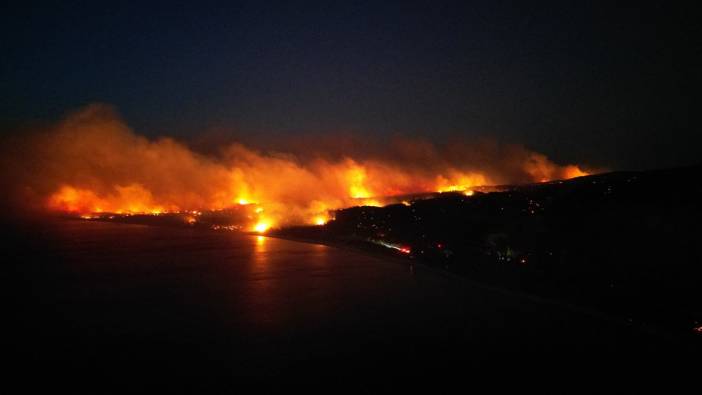 Çanakkale'de orman yangını