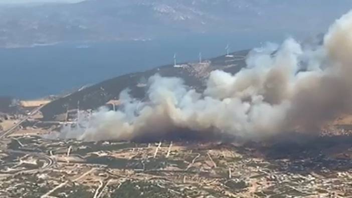 Didim'de makilik alanda yangın