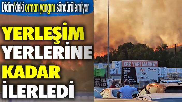 Didim'deki orman yangını söndürülemiyor. Yerleşim yerlerine kadar ilerledi