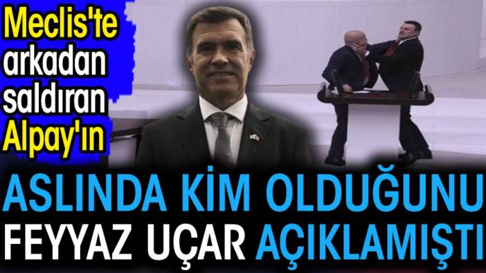 Meclis'te arkadan saldıran Alpay'ın aslında kim olduğunu Feyyaz Uçar açıklamıştı