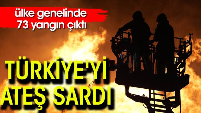 Türkiye'yi ateş sardı; ülke genelinde 73 yangın çıktı