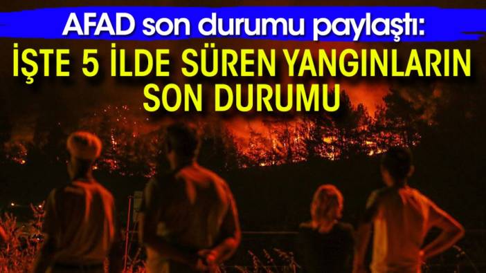 AFAD son durumu paylaştı: İşte 5 ilde süren yangınların son durumu...